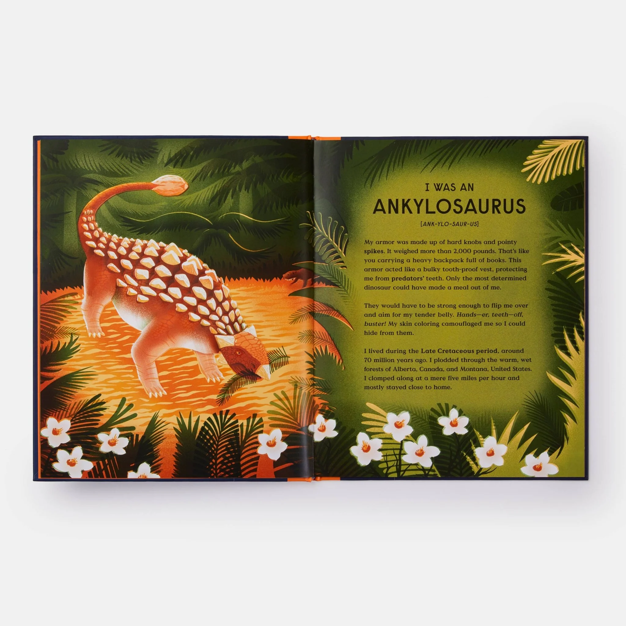 Book of Dinosaurs: 10 Record-Breaking Prehistoric Animals - Image 5