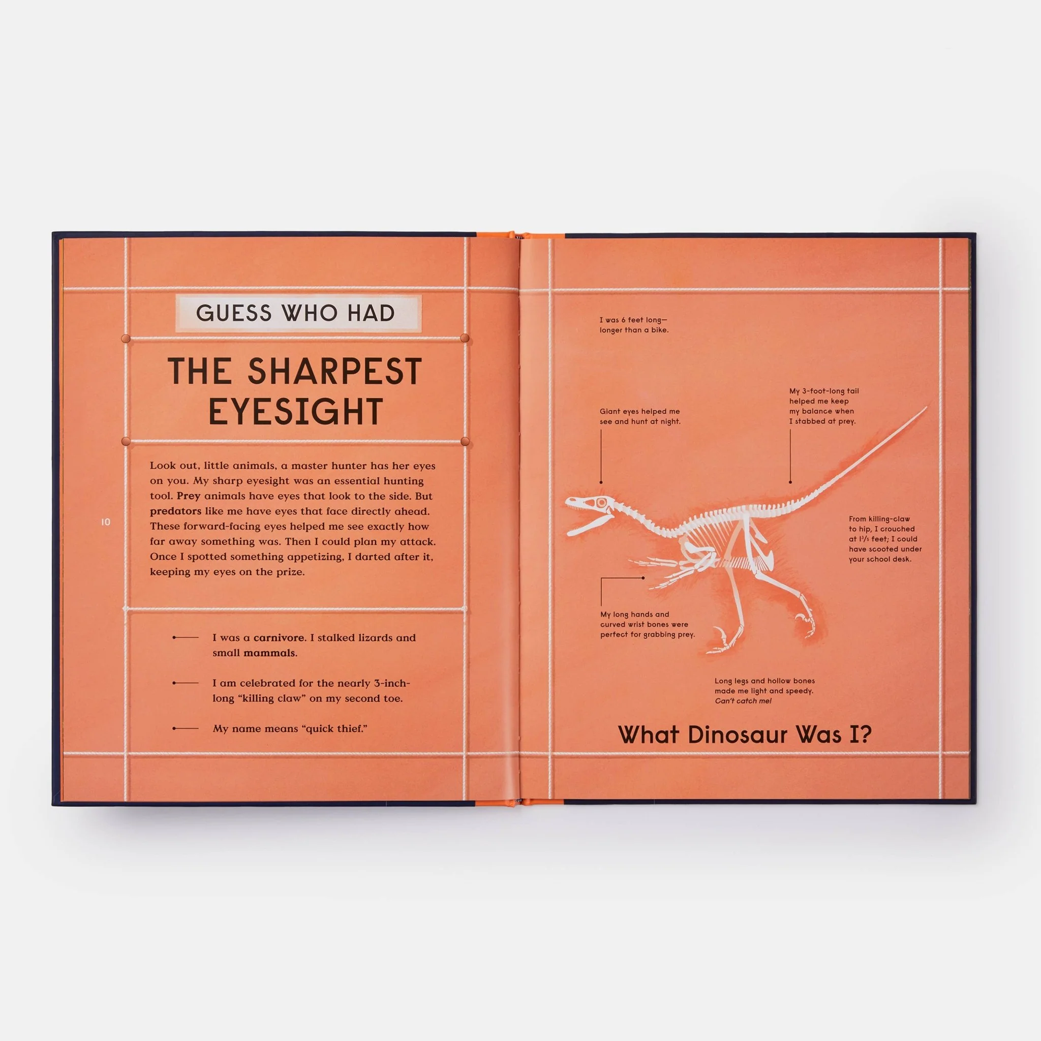 Book of Dinosaurs: 10 Record-Breaking Prehistoric Animals - Image 6