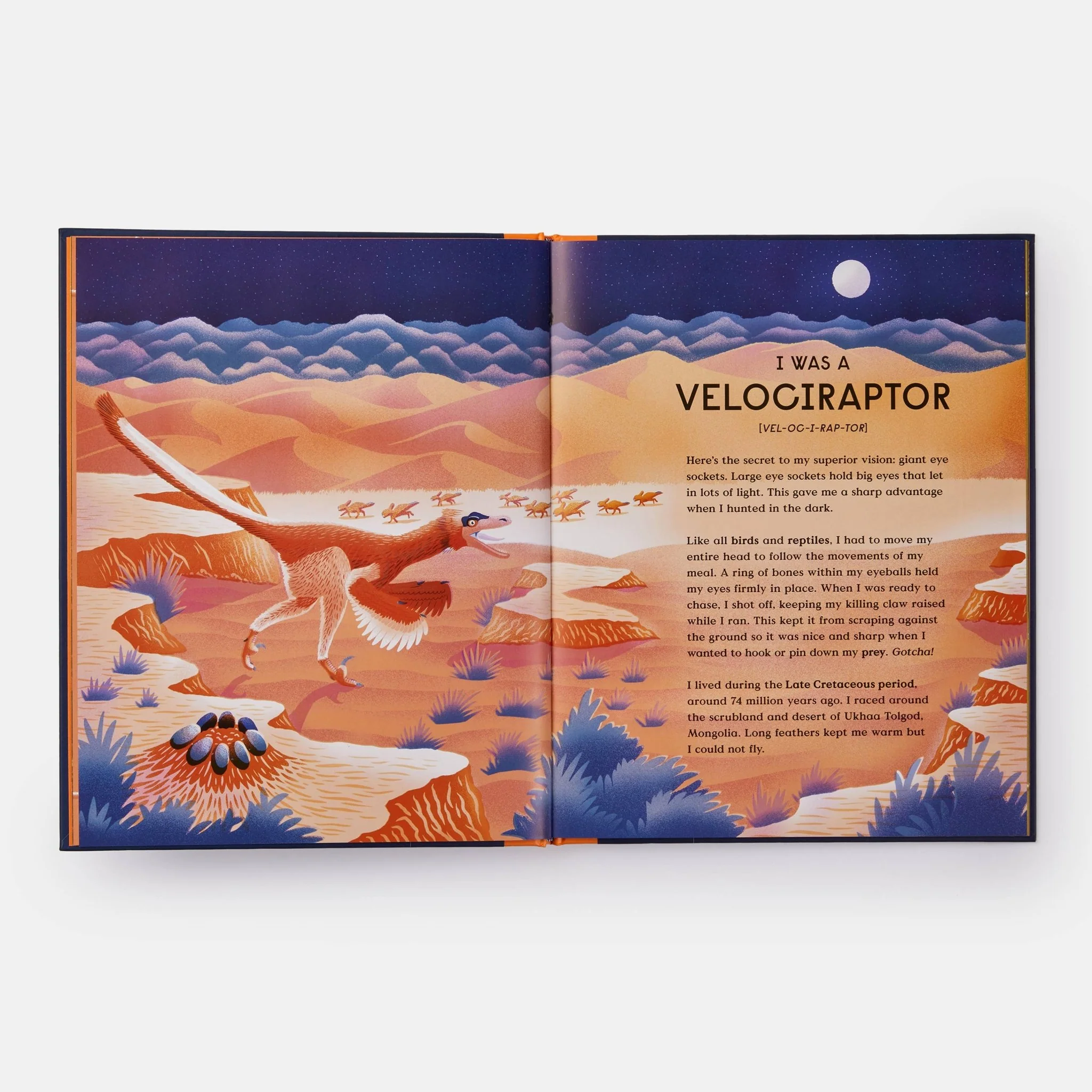 Book of Dinosaurs: 10 Record-Breaking Prehistoric Animals - Image 7