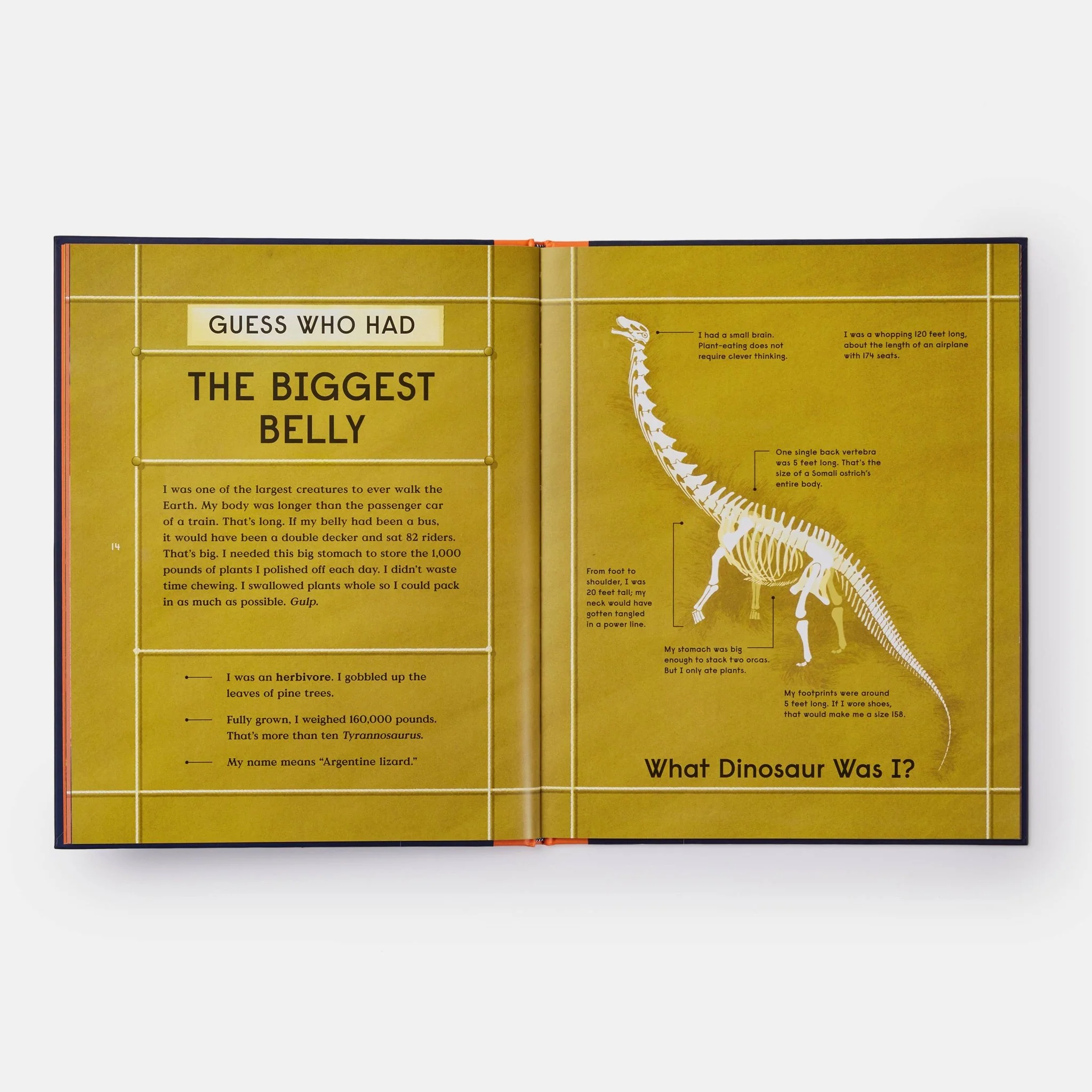 Book of Dinosaurs: 10 Record-Breaking Prehistoric Animals - Image 8