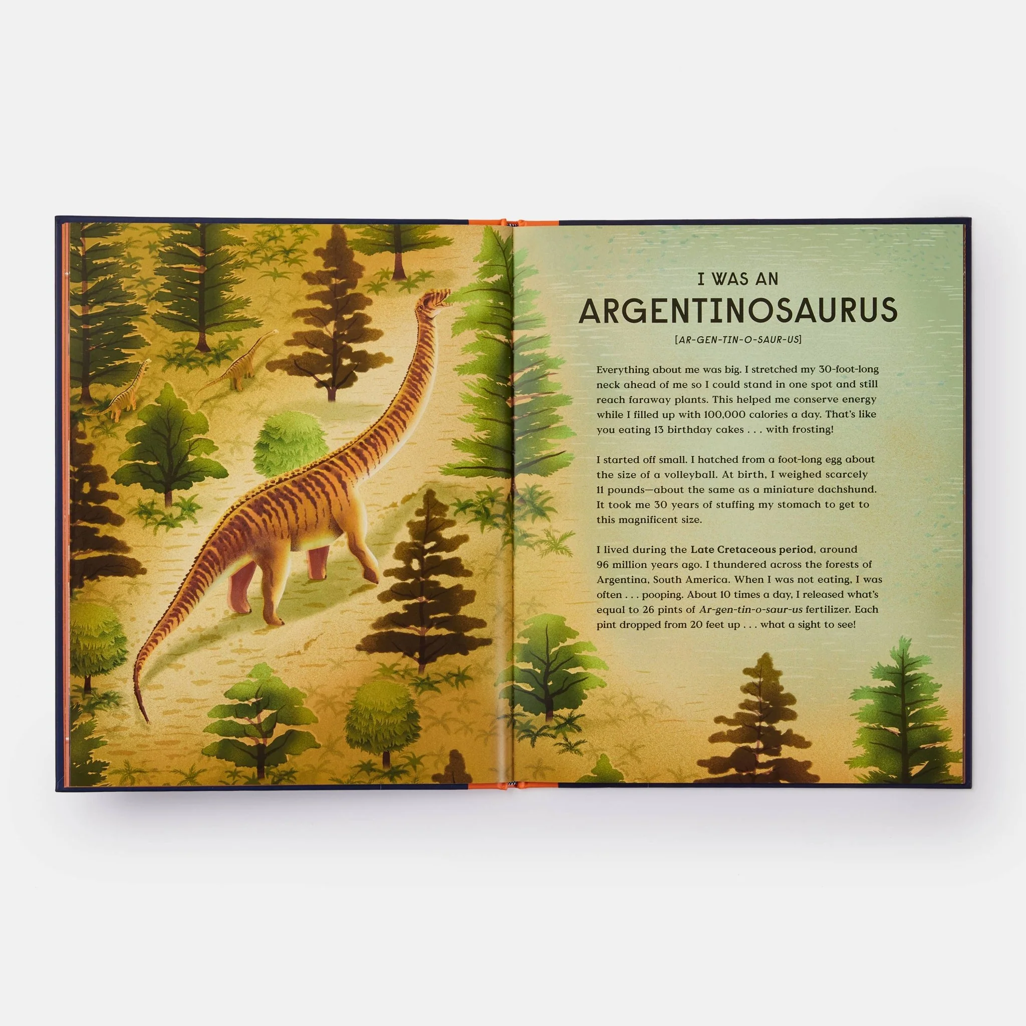 Book of Dinosaurs: 10 Record-Breaking Prehistoric Animals - Image 9