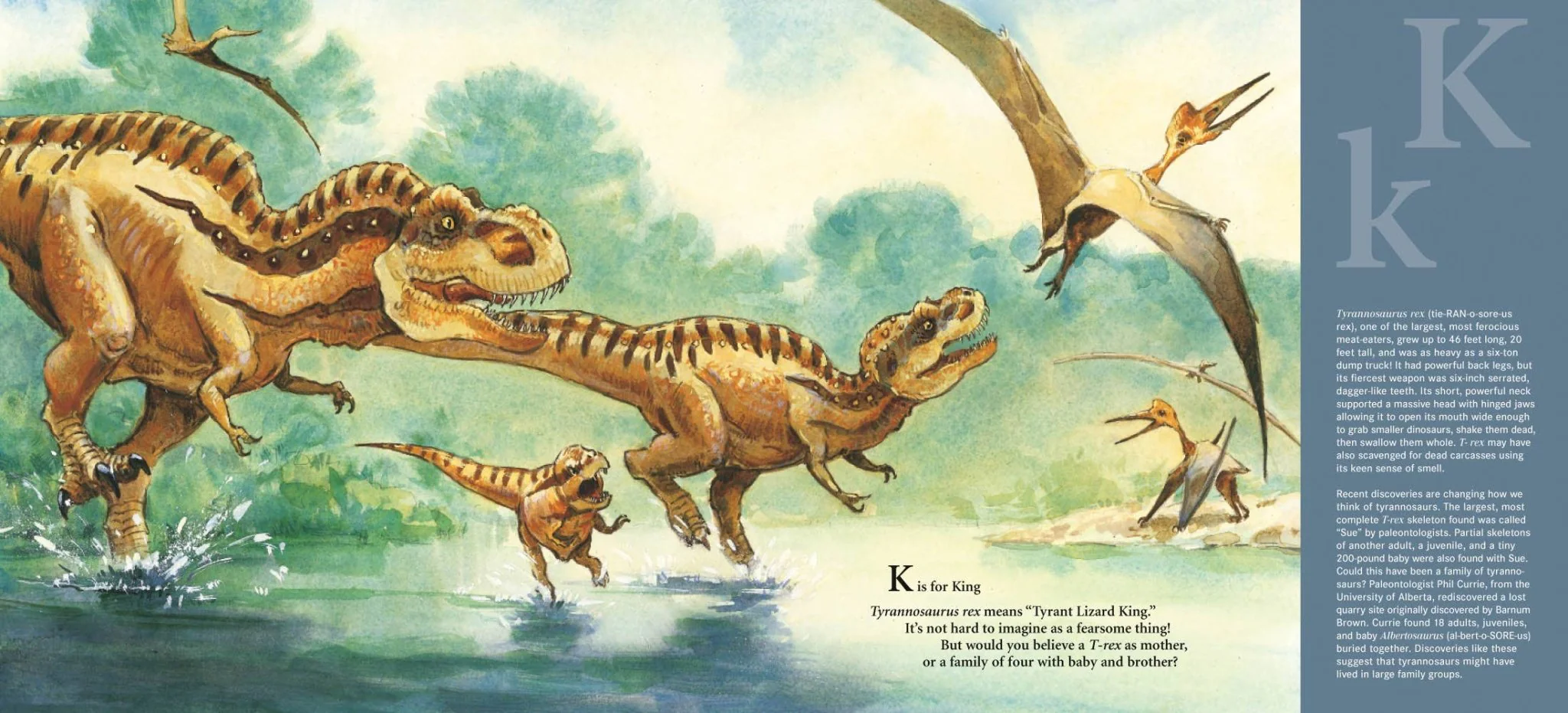 D is for Dinosaur: A Prehistoric Alphabet Book - Image 3
